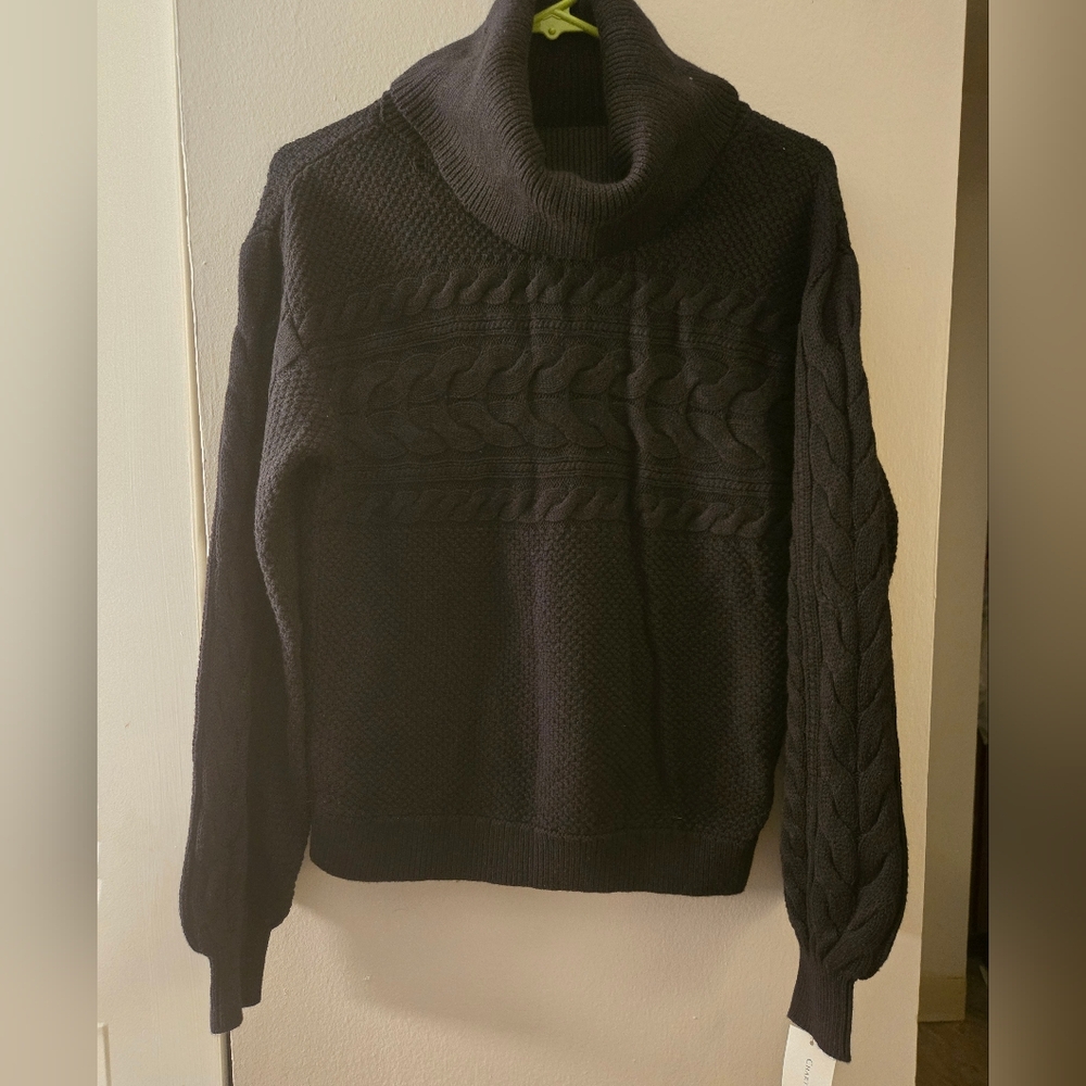 Charter Club Turtleneck In Black